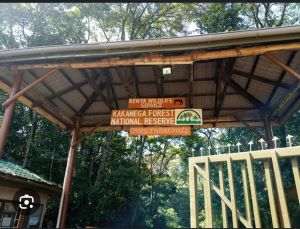 Entrance of Kakamega forest reserve